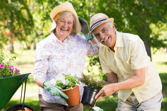 pareja mayor sonriendo mientras trabajan en el jardín